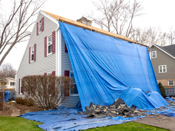 Best Storm Damage Siding Repair  in Gibson, AR